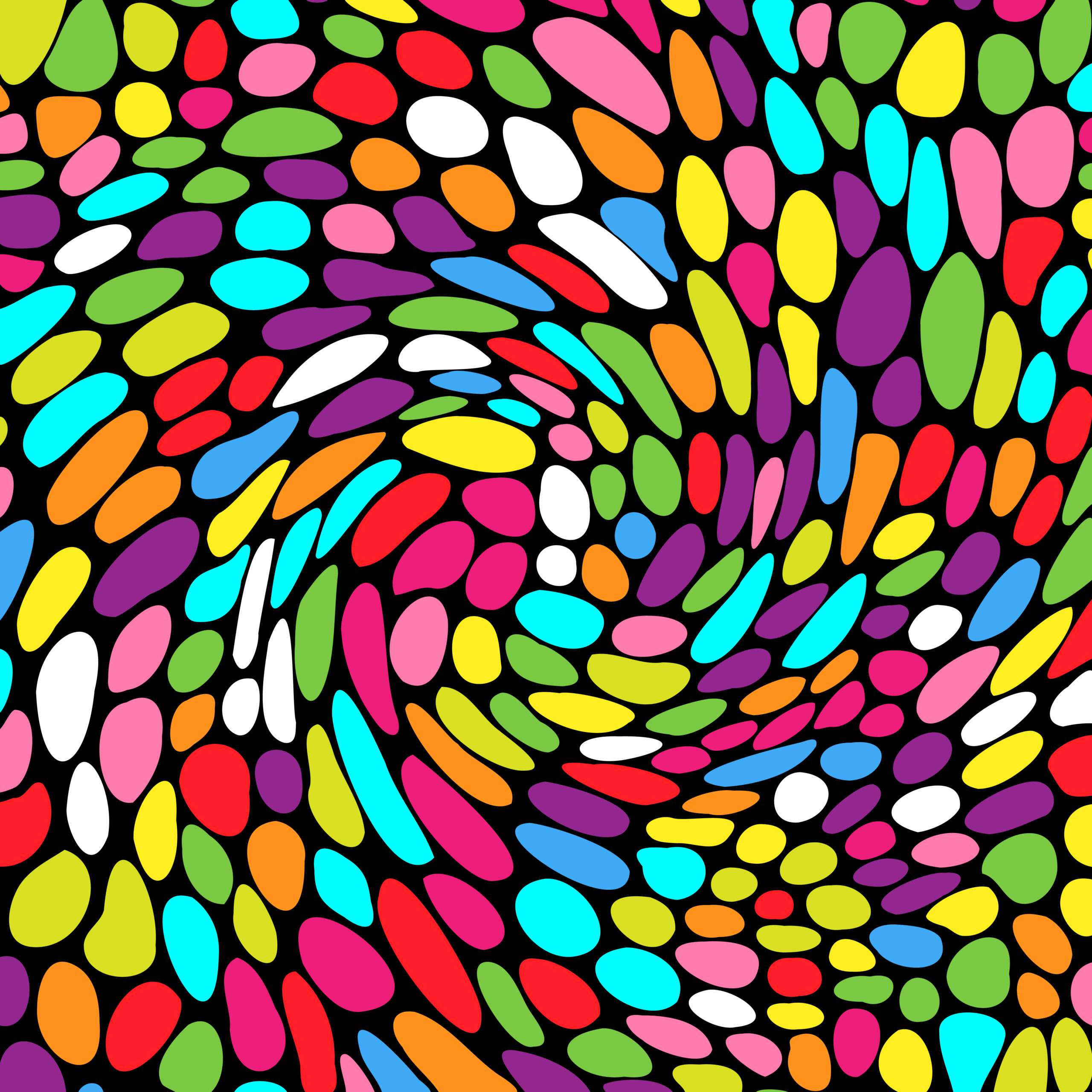 WIRTSCHAFTSINFO  WS2526